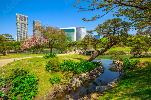 Hamarikyu Gardens, Tokyo, Sumida River, Chuo district, Japan. Oriental japanese garden during Hanami. The Hama Rikyu is in contrast to the skyscrapers of the adjacent Shiodome district. © bennymarty
