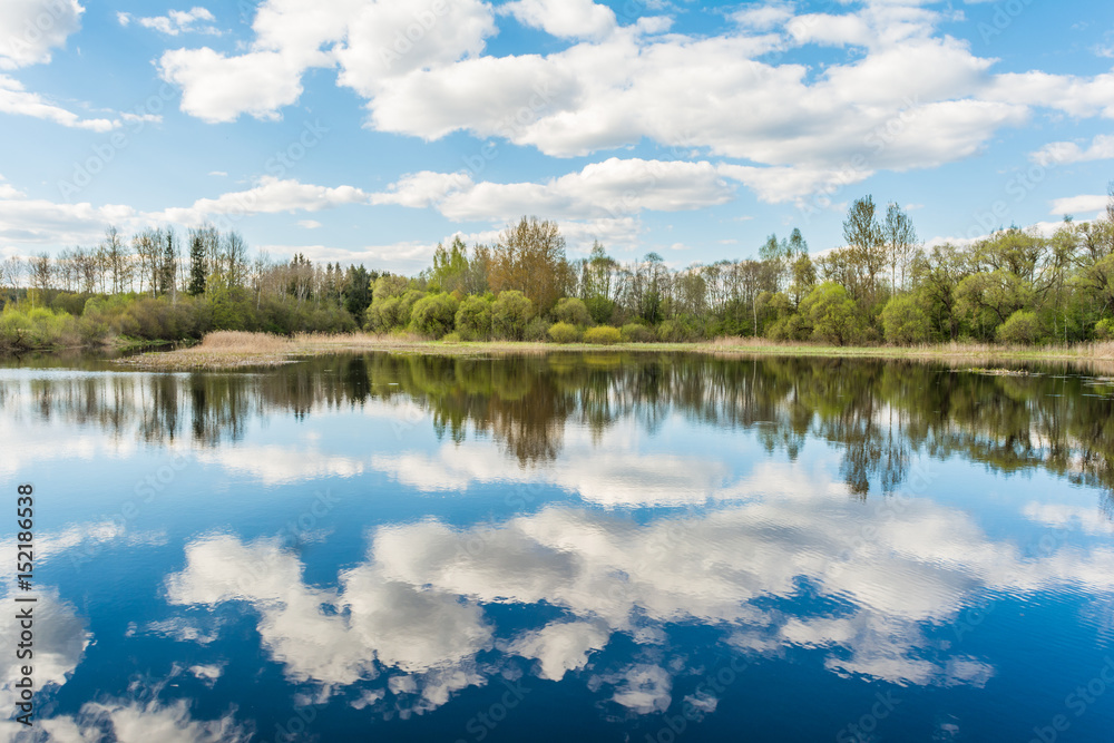 Blue lake, the sky reflects the surface of the water with white clouds, on the horizon a dry reed and the forest grows from deciduous and needy tree species, the sunny spring landscape Blue lake, the sky reflects the surface of the water with white clouds, on the horizon a dry reed and the forest grows from deciduous and needy tree species, the sunny spring landscape