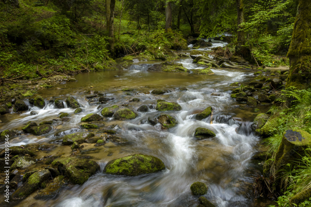 Mountain stream, river flowing through dense forest. Bistriski Vintgar Mountain stream, river flowing through dense forest. Bistriski Vintgar