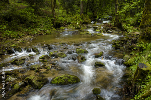 Mountain stream, river flowing through dense forest. Bistriski Vintgar