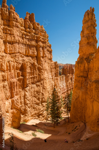 Bryce Canyon National Park in Utah, United States.