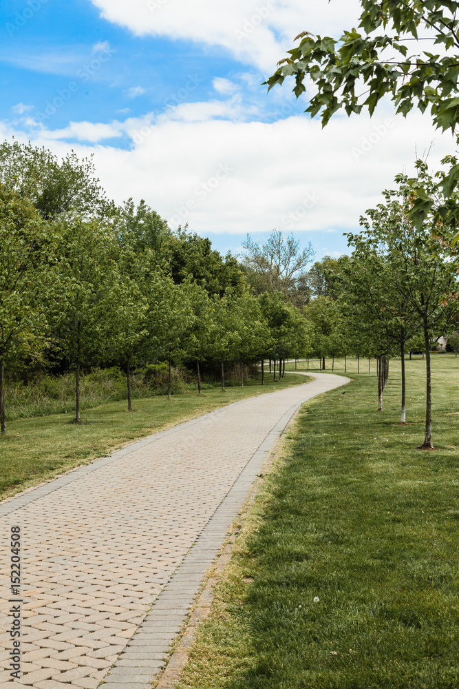 Road in the park, springtime and blue sky.