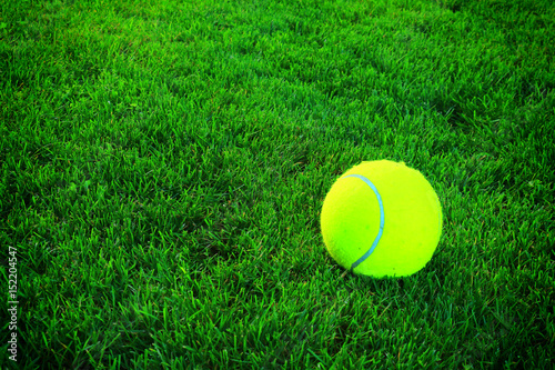 tennis balls on tennis grass court © Željko Radojko