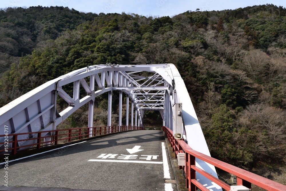 Fototapeta premium 鉄橋