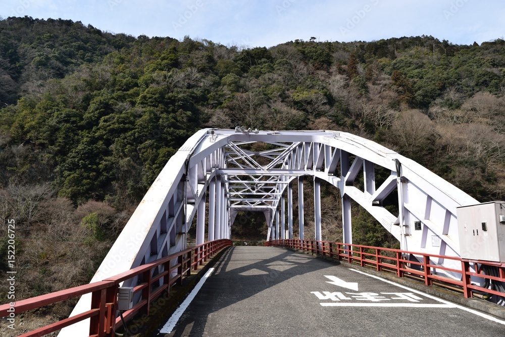 Fototapeta premium 鉄橋