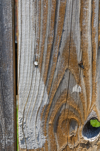 Close up of weathered brown and grey fence board background with a knot in it