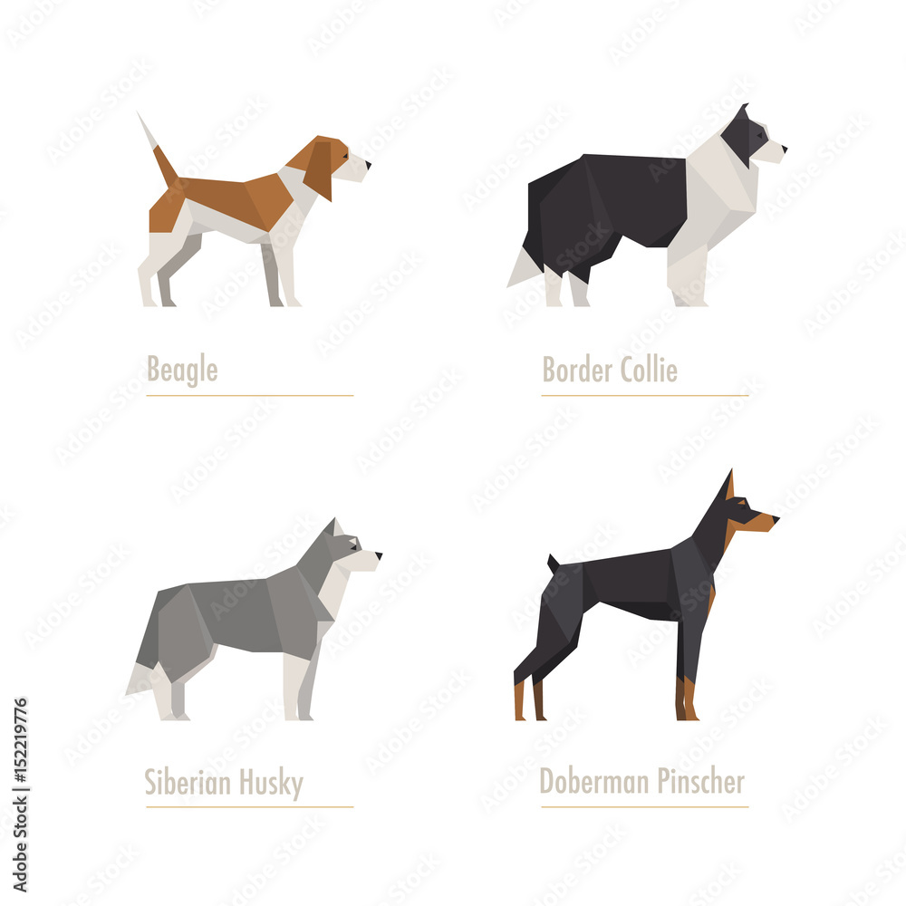 dogs low poly illustration set