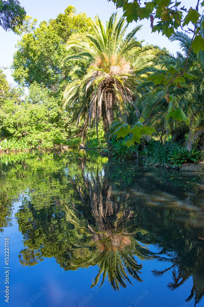 Obraz premium Tropical nature background with lake