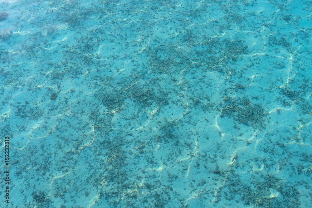 Fototapeta premium ocean with transparent blue water