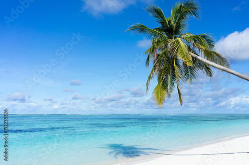 Fototapeta Naklejka Na Ścianę i Meble -  beautiful tropical beach