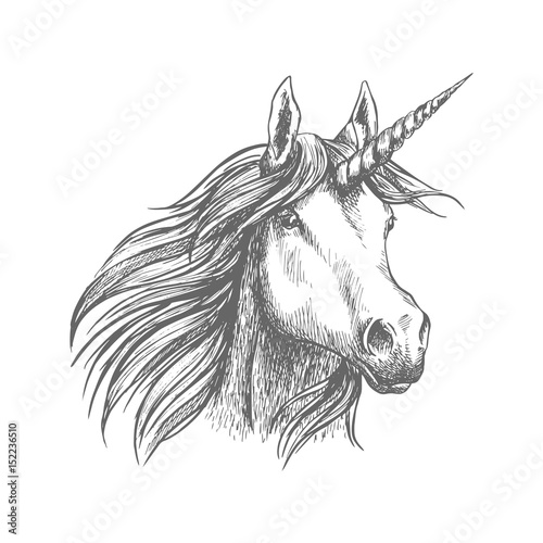 Fototapeta Naklejka Na Ścianę i Meble -  Unicorn horse animal vector sketch