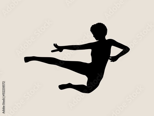 Karate martial art silhouette of woman in sword fight karate pose