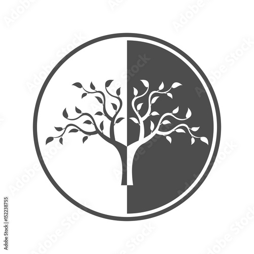 Abstract black and white tree.