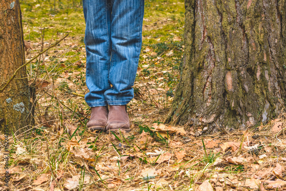 Fototapeta premium Young kid boy standing lost in forest between two pine tree trunks
