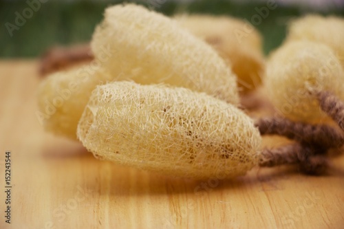 Obraz na płótnie A luffa sponge whose coarse texture helps with skin polishing.