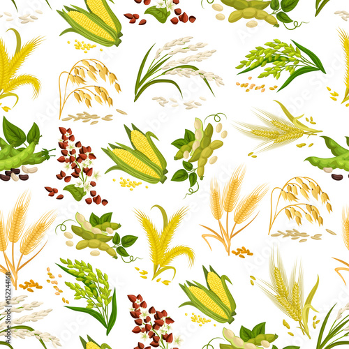Vector seamless pattern of grain and cereals