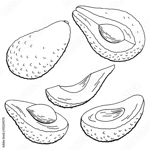 Avocado fruit graphic black white isolated sketch illustration vector
