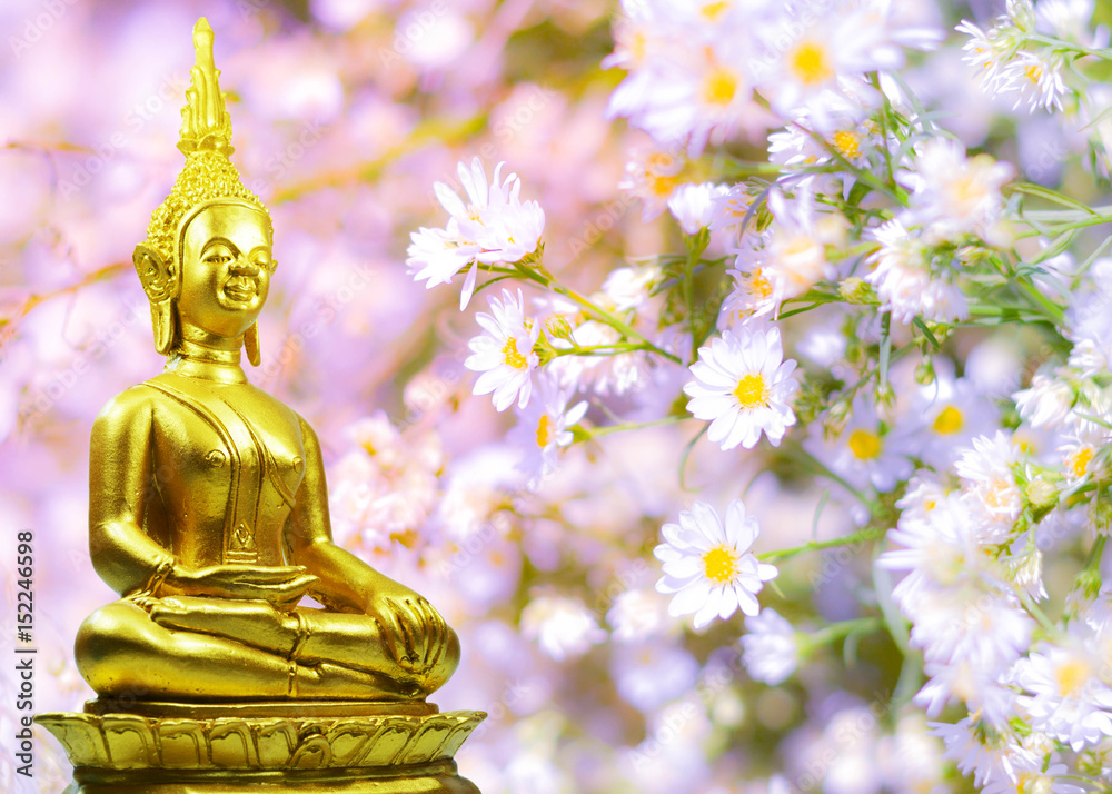 Buddhism statue ,field of flower and sun in morning