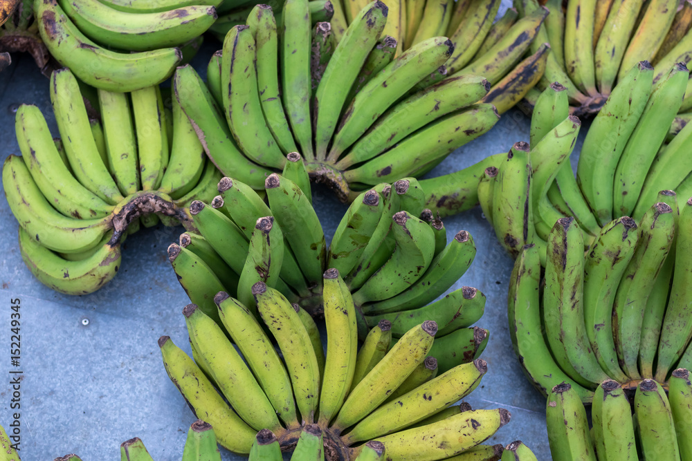 Green bananas on the traditional organic food market of Bali island, Indonesia. Tropical organic background.