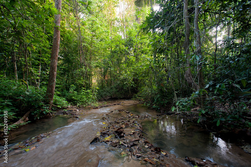 Fototapeta Naklejka Na Ścianę i Meble -  Landscape rain forest National Park in Thailand