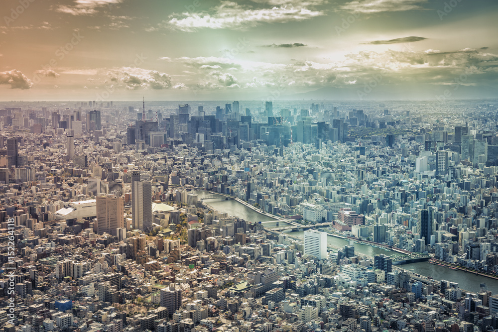 Tokyo skyline, aerial view, Japan. Vintage colors with light leaks