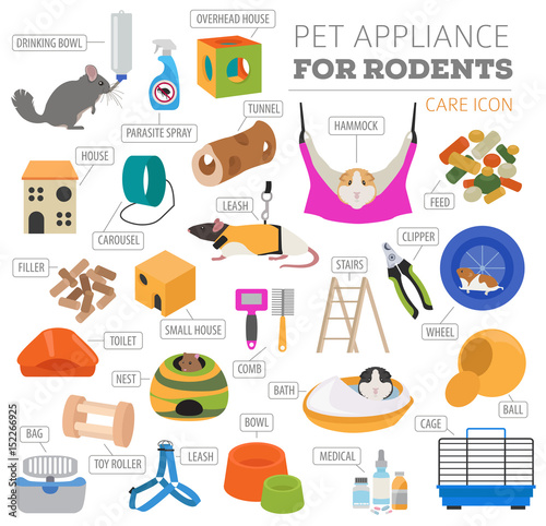 Pet appliance icon set flat style isolated on white. Rodents care collection. Create own infographic about guinea pig, rat, hamster, chinchilla, mouse, rabbit