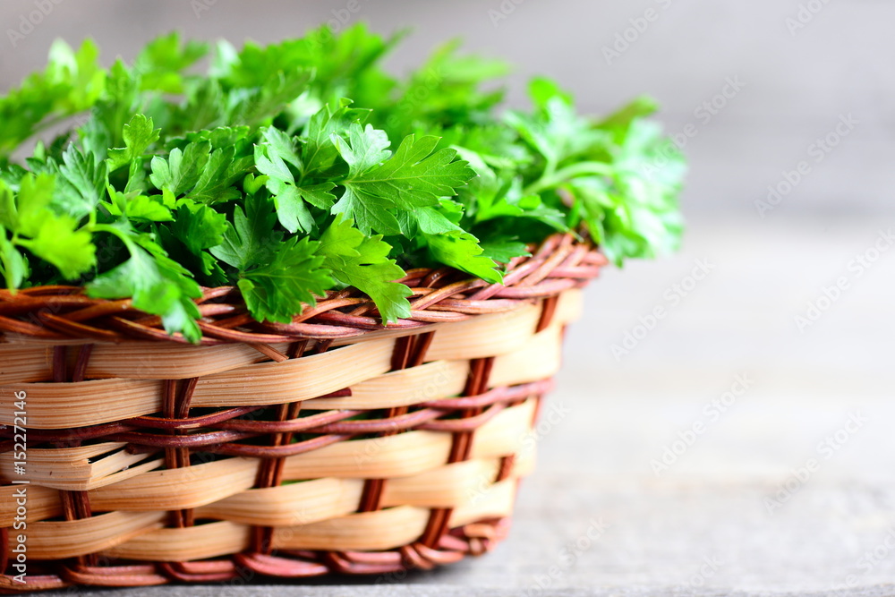 Fresh parsley leaves in a basket. Dietary source of antioxidants, folic acid, vitamin K, vitamin C and vitamin A. Parsley on vintage wooden background with copy space for text. Rustic style. Closeup Fresh parsley leaves in a basket. Dietary source of antioxidants, folic acid, vitamin K, vitamin C and vitamin A. Parsley on vintage wooden background with copy space for text. Rustic style. Closeup