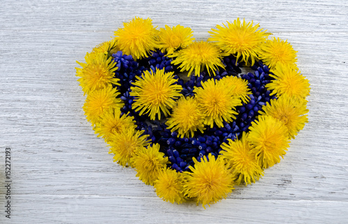 Heart of flowers. Blue and yellow flowers on a table in the shape of a heart