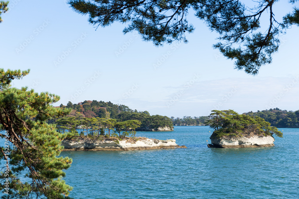 Matsushima bay in Japan