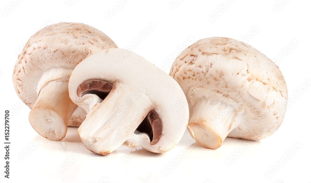 Fresh champignon mushrooms isolated on white background