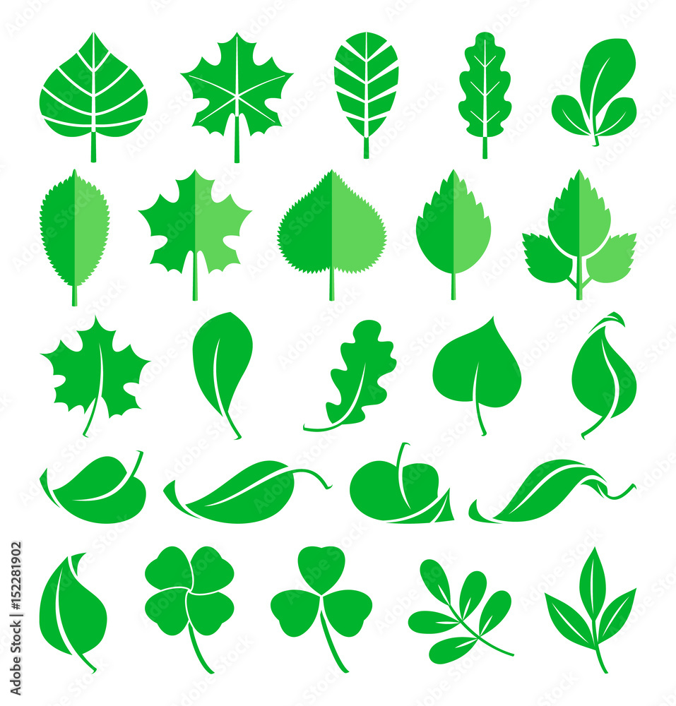 Growing plants. Leaf and grass shoots. Vector illustration in flat style