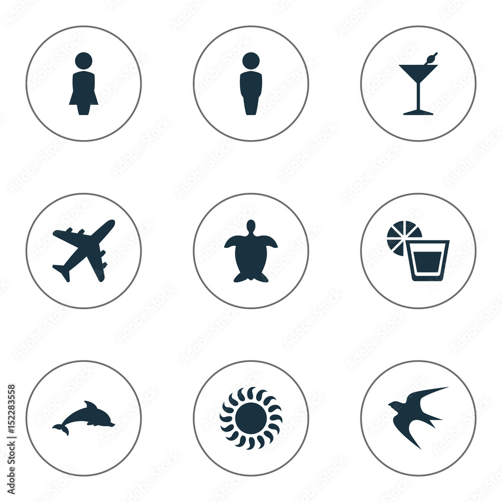 Vector Illustration Set Of Simple Seaside Icons. Elements Swallow
