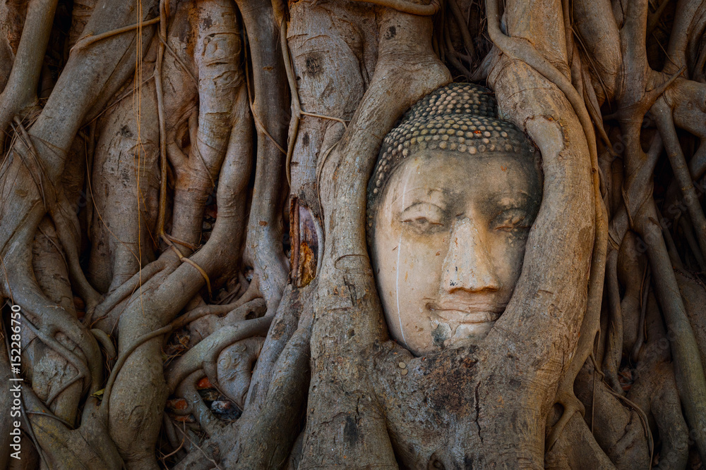 Famous Buddha Head with Banyan Tree Root at Wat Mahathat Temple in Ayuthaya Historical Park, a UNESCO world heritage site, Thailand