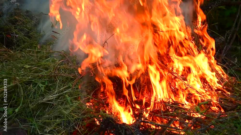 Hot fire in the forest Hot fire in the forest