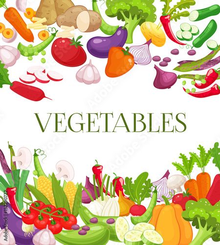Vegetable and healthy food menu poster. Fresh carrot, tomato, pepper, onion, broccoli, cabbage, garlic, cucumber, cauliflower, kohlrabi and radish. Vegetarian food, organic shop design