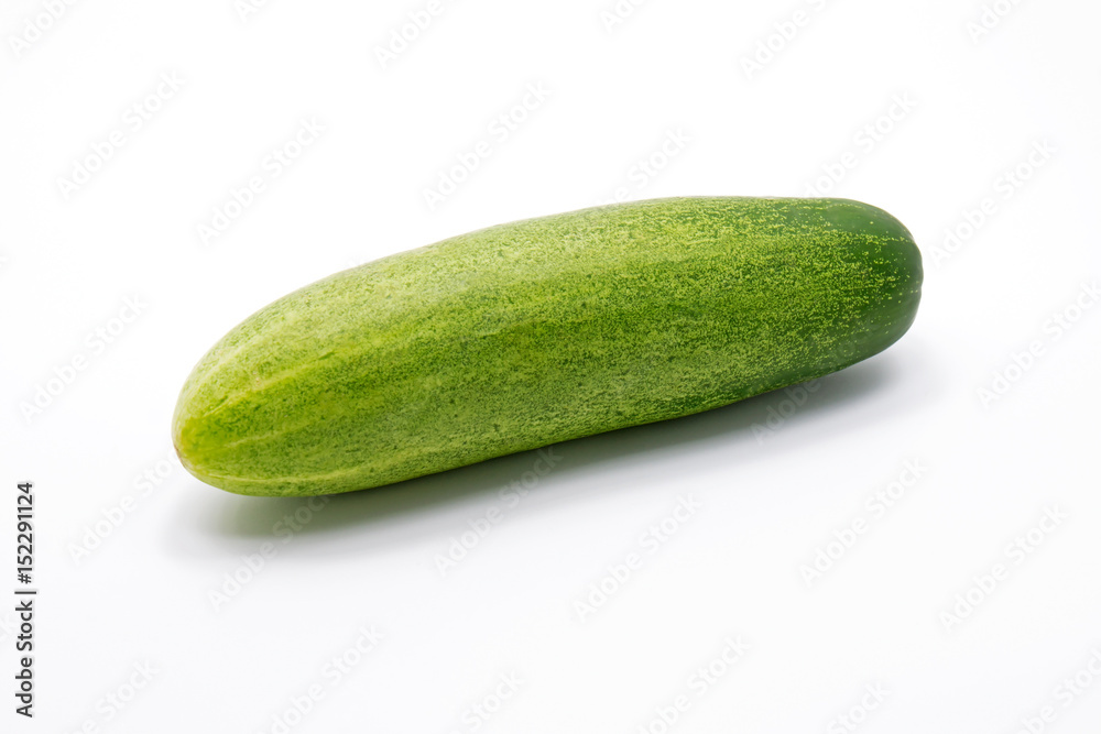 Closeup Fresh Cucumber on White Background Closeup Fresh Cucumber on White Background