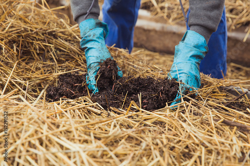 Soil quality and worm farming
