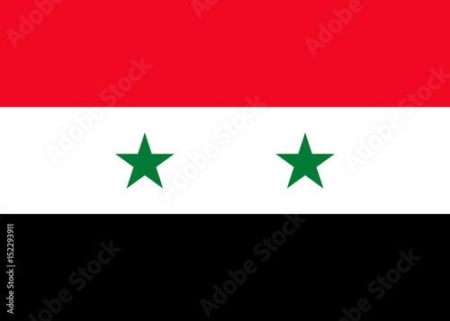 Syria national flag. vector illustration. business education