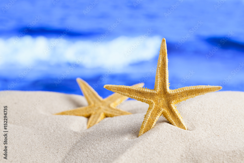 Starfish on sea background