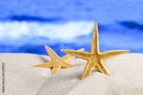 Starfish on sea background