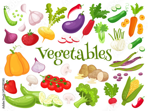 Set of fresh vegetables for your design