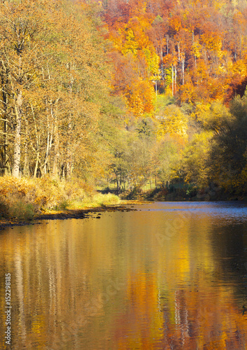 River with reflexion of autumnal forest