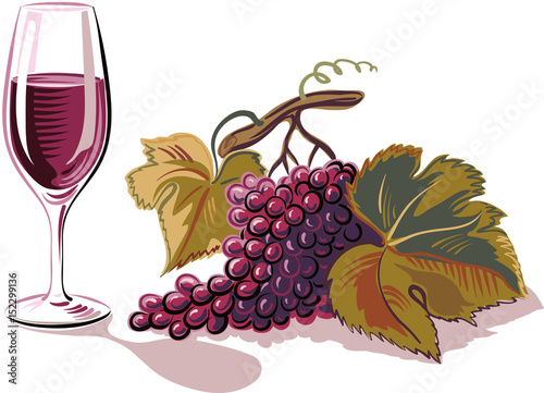 bunch of grapes ripe freshly picked and a glass of wine.