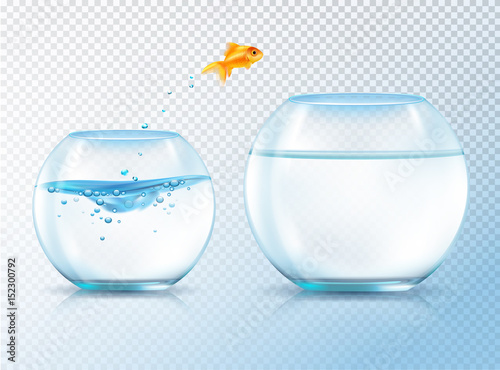 Jumping Golden Carp Composition