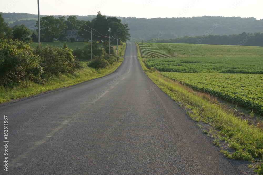 Fototapeta premium road with field