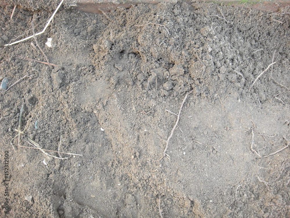 Prepare the soil planting vegetables Prepare the soil planting vegetables