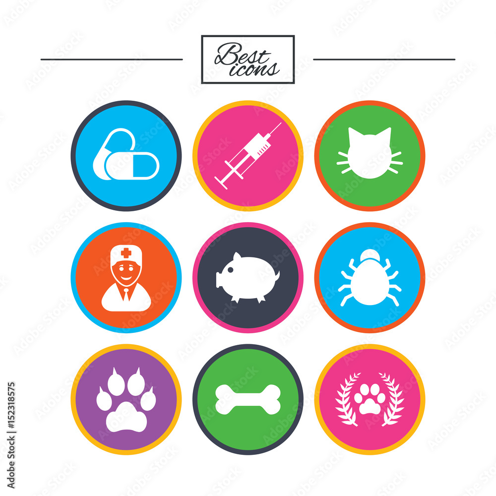 Veterinary, pets icons. Paw, syringe and bone.