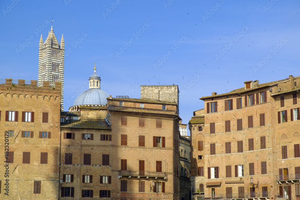 Piazza del Campo in Siena Piazza del Campo in Siena