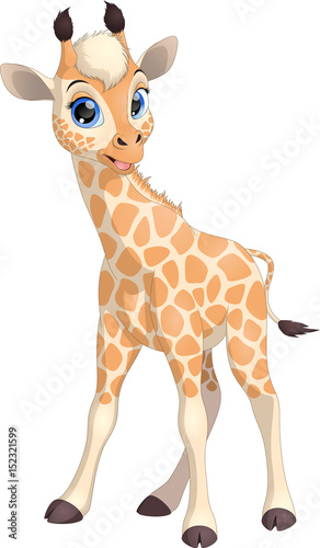 Funny little giraffe