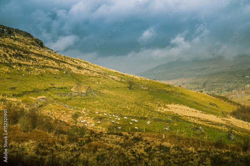 A beautiful irish mountain landscape in spring with sheep. Gleninchaquin park in Ireland.